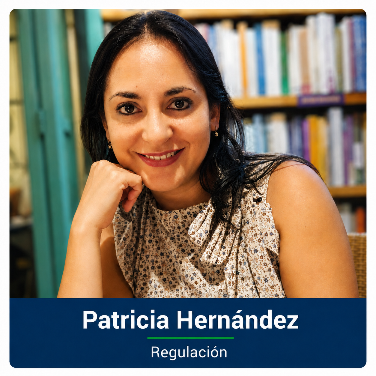 Patricia Hernández, Regulación